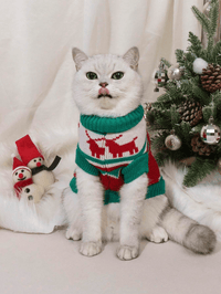 Chat-lut Noël™ | Pull Festif et Douillet pour Chat