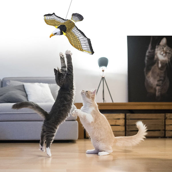 ChassePlumes™| L'oiseau interactif qui captivera votre chat