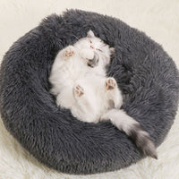 CoconCat™ | Le coussin confort pour Chat - lechatpercher